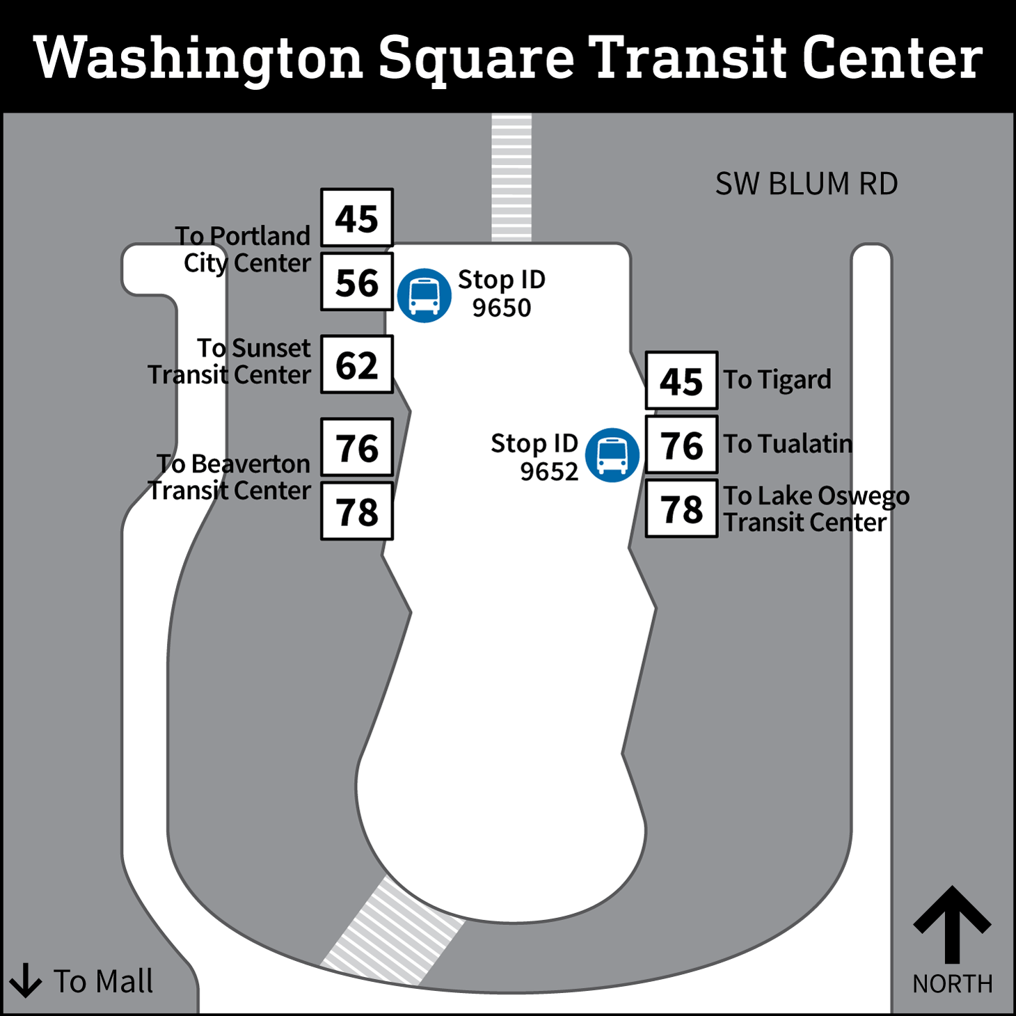 Washington Square Transit Center